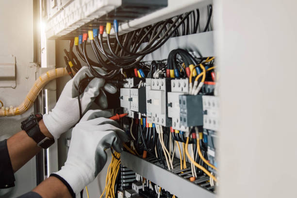 Best Local Electrician Companies  in Dundee, MI
